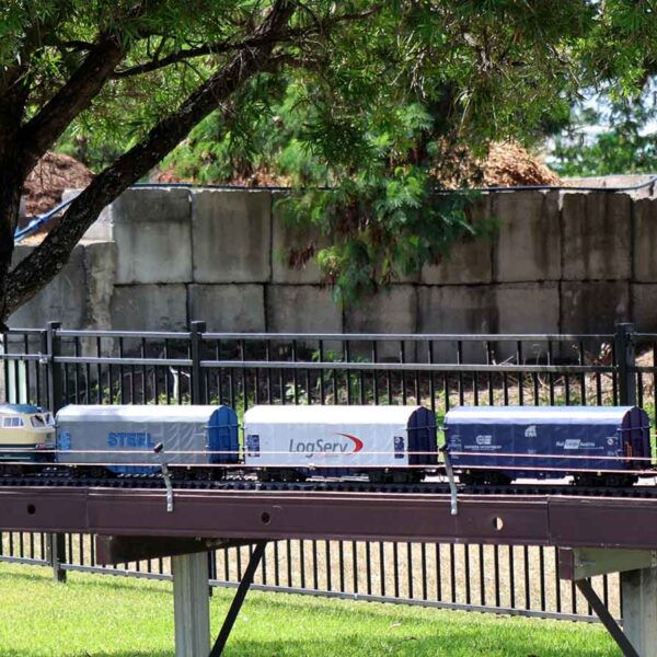 Garden Railway (G Scale) Layout - RMCQ